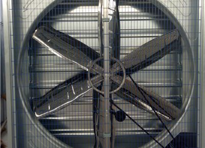 點(diǎn)擊查看詳細(xì)信息<br>標(biāo)題：Heavy Hammer Type Animal Husbandry Fan 閱讀次數(shù)：1511